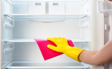 How To Keep Your Fridge Clean?
