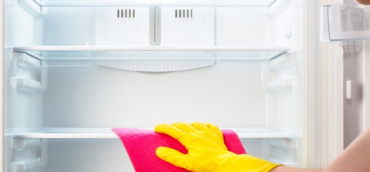 How To Keep Your Fridge Clean?