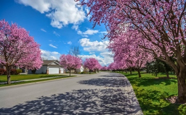 How To Get Started In Property Development