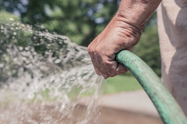 watering