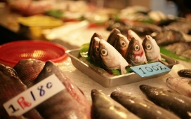 fish market