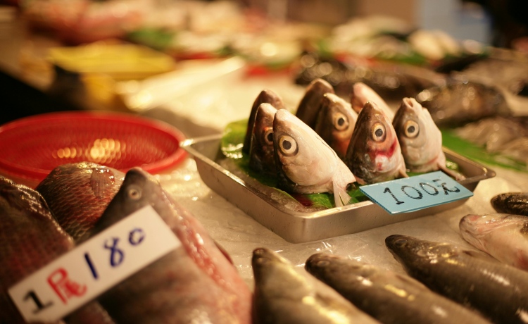 fish market