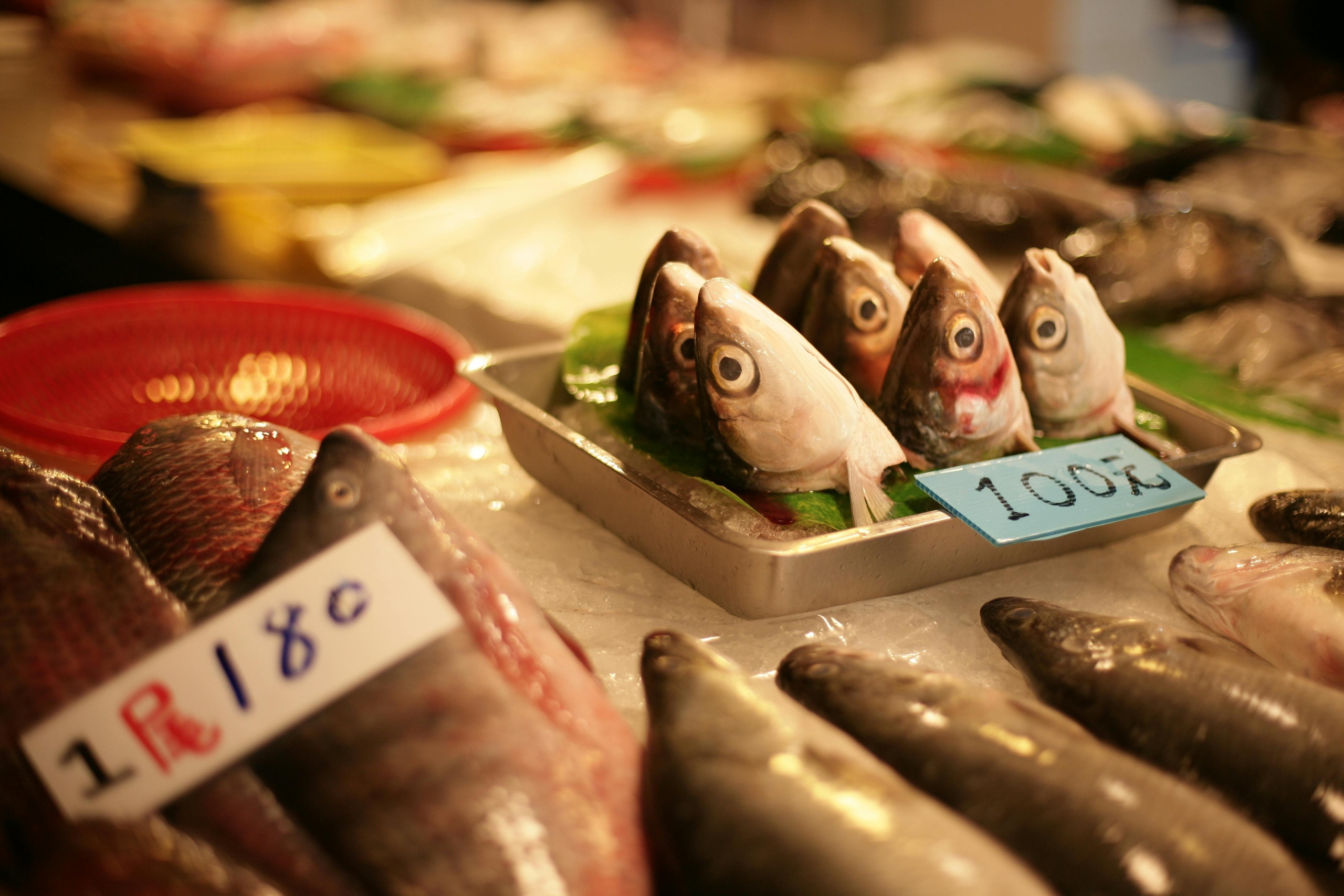 fish market